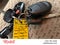 2010 Toyota Tundra 4WD Truck Dbl 4.6L V8 6-Spd AT (Natl)